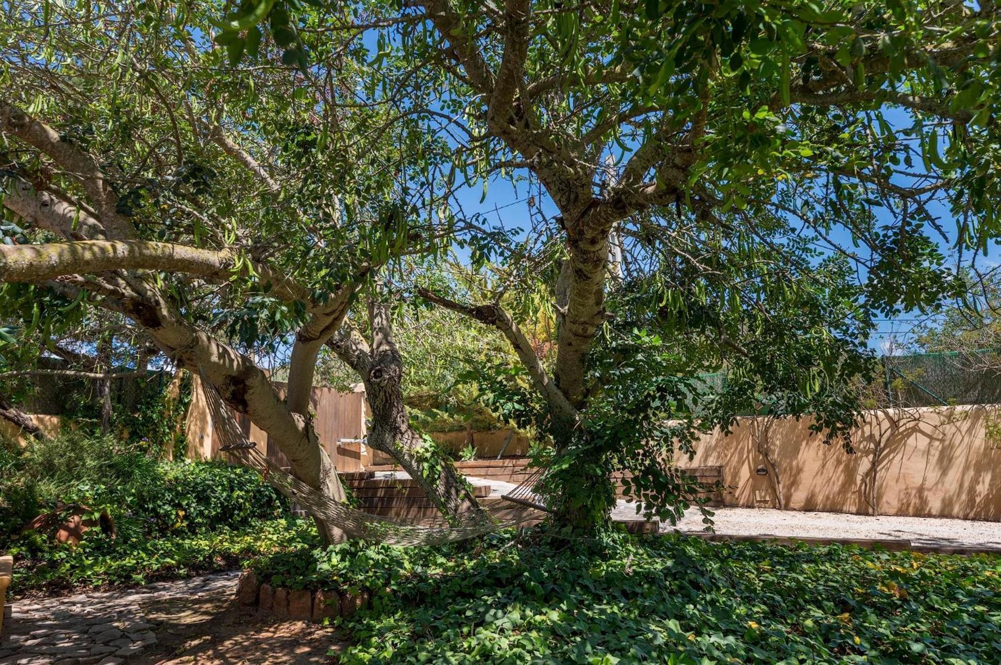 Can Botanic Sant Josep de sa Talaia Exterior photo